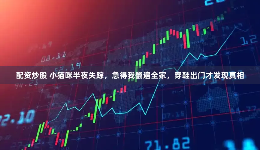 配资炒股 小猫咪半夜失踪，急得我翻遍全家，穿鞋出门才发现真相