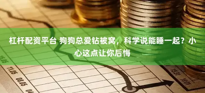 杠杆配资平台 狗狗总爱钻被窝，科学说能睡一起？小心这点让你后悔