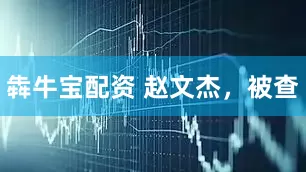 犇牛宝配资 赵文杰，被查