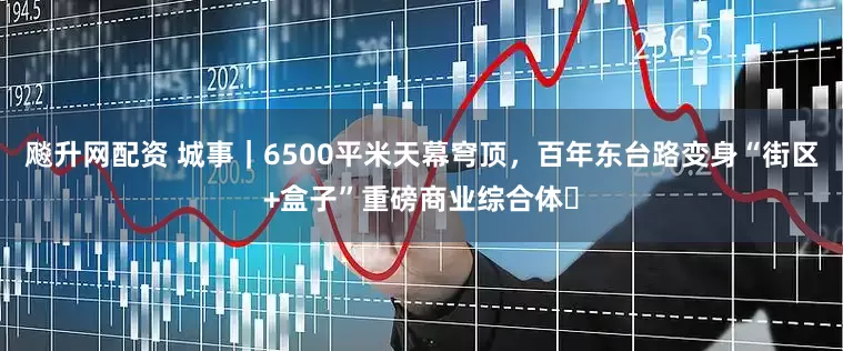 飚升网配资 城事｜6500平米天幕穹顶，百年东台路变身“街区+盒子”重磅商业综合体​