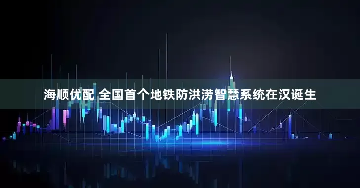 海顺优配 全国首个地铁防洪涝智慧系统在汉诞生