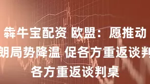犇牛宝配资 欧盟：愿推动伊朗局势降温 促各方重返谈判桌
